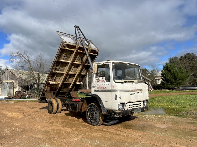 Dodge 650 Tipper Tray Truck