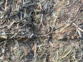 100mt Vetch Hay 550kg 8x4x3 Bales (Shedded)