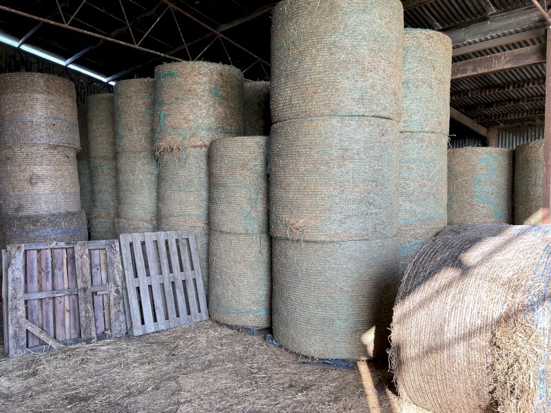 Lucerne Hay 5x4 Round Bales