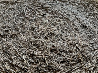 Lucerne Hay 5x4 Round Bales