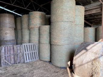 Lucerne Hay 5x4 Round Bales