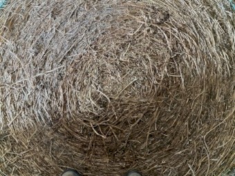 Lucerne Hay 5x4 Round Bales
