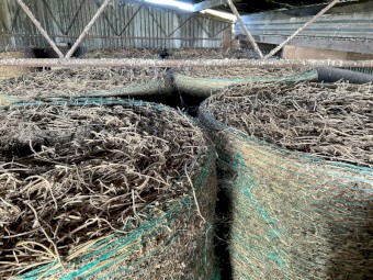 Lucerne Hay 5x4 Round Bales