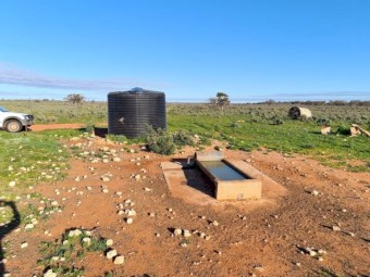 Agistment available - 20km west of Wentworth NSW 2648