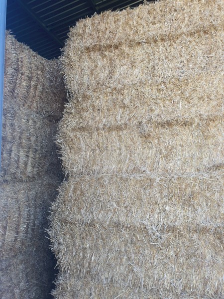 Non imy barley straw