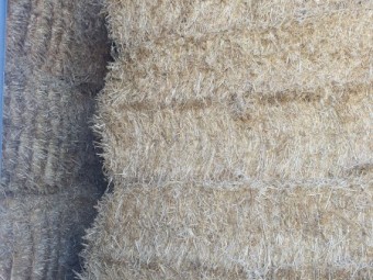 Non imy barley straw