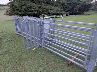 Arrowquip SHEEP DRAFTING RACE