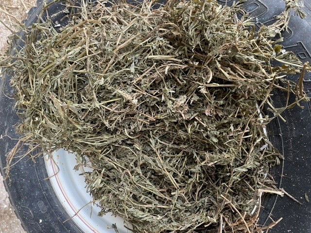 350mt Vetch Hay 650kg 8x4x3 Bales