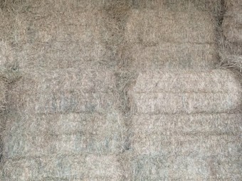 Old Season Wheaten Hay