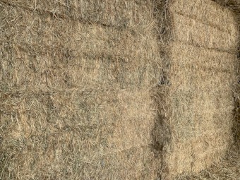 Old Season Wheaten Hay