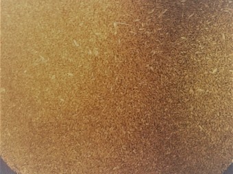 Wanted - Clean Feed Wheat