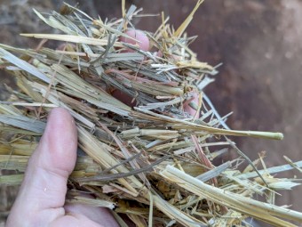 2019 oaten hay