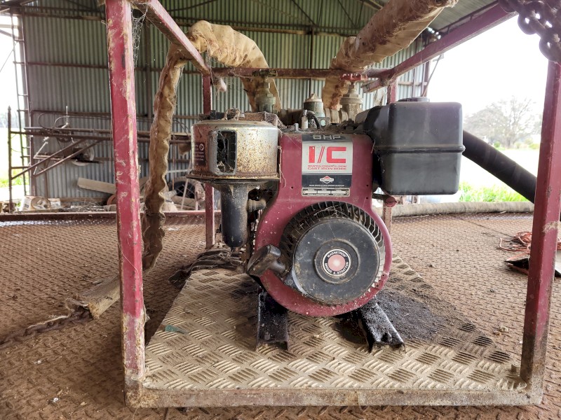 Briggs & Stratton Cast Iron Bore Pump - 8 HP