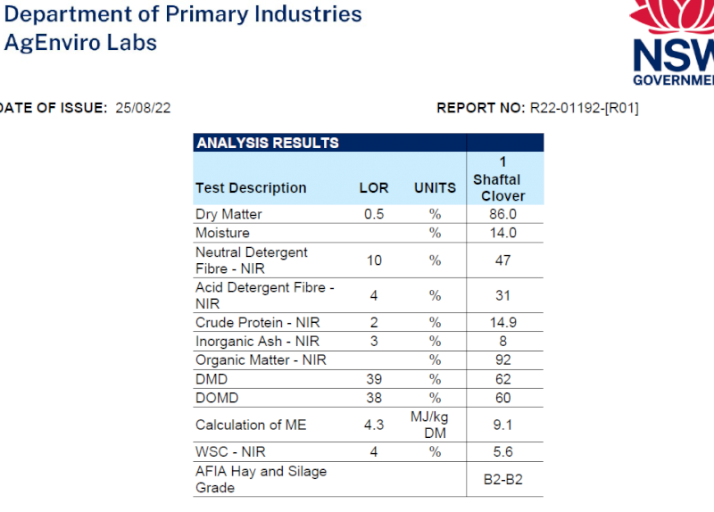 Shaftal Clover Hay - Small Squares