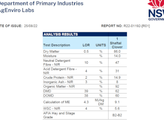 Shaftal Clover Hay - Small Squares