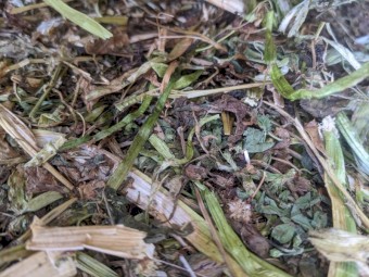 Shaftal Clover Hay - Small Squares