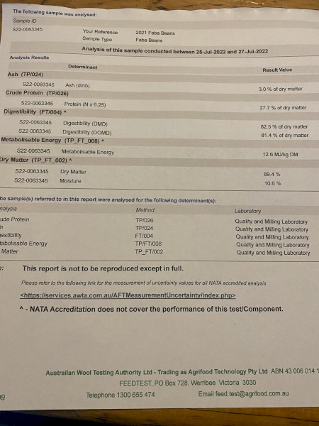120mt Samira Faba Beans