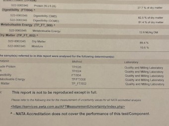 120mt Samira Faba Beans