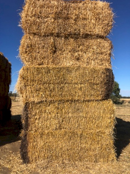 2021 8x4x3 Barley Straw Seconds