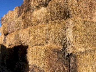 2021 8x4x3 Barley Straw Seconds