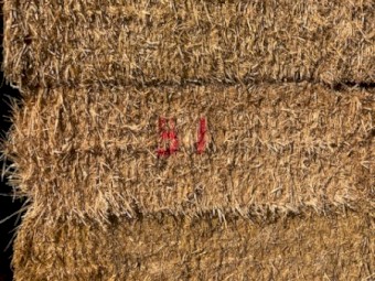 2021 8x4x3 Barley Straw Seconds