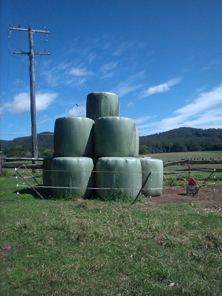 Pasture Haylage Bales