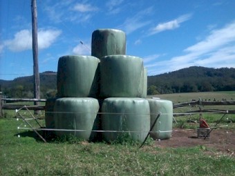 Pasture Haylage Bales