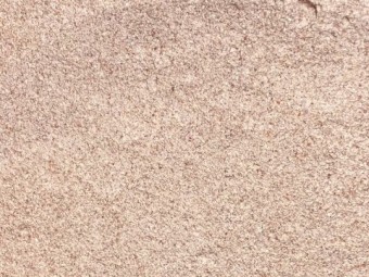 Sorghum grain whole and milled