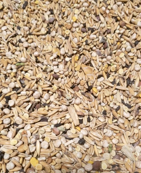 High Protein Oats & Lupin Mix