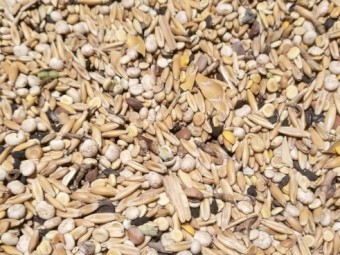 High Protein Oats & Lupin Mix