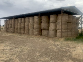 150 x Balansa Hay 450kg 5x4 Rolls
