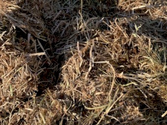 150 x Balansa Hay 450kg 5x4 Rolls