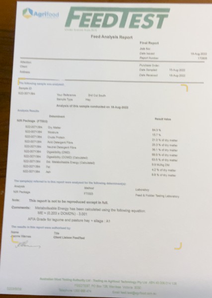 Lucerne Hay 8x4x3 Bales