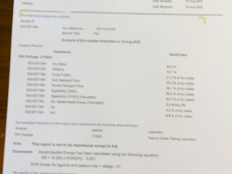 Lucerne Hay 8x4x3 Bales
