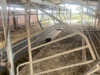 Pendulum exit and rear gates