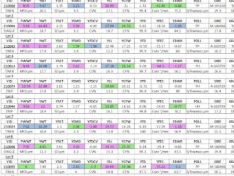 Kalani Ram sale inspection day 3rd of October 