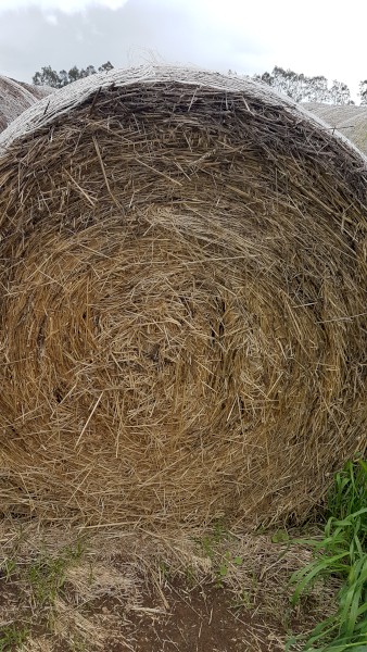 Organic round bales