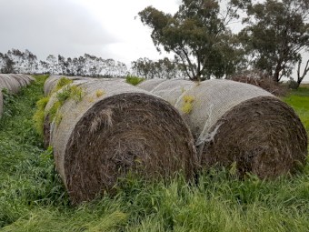 Organic round bales