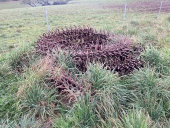 Phoenix prickle/disc chain