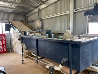 GP Fruit/Cherry Grader