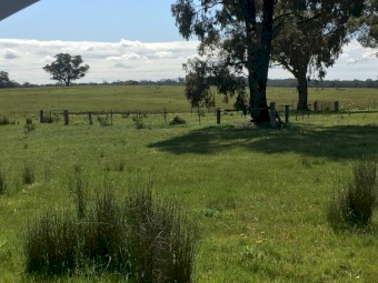 EOI 610 Acres for Lease with 4 dams