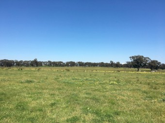 EOI 610 Acres for Lease with 4 dams