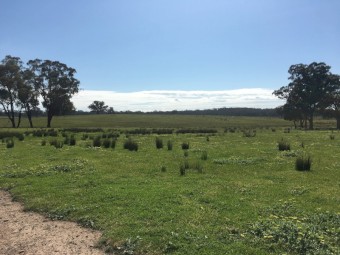 EOI 610 Acres for Lease with 4 dams