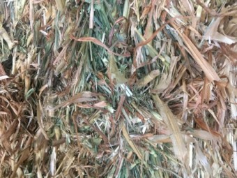 31mt Oaten Hay 610kg 8x4x3 Bales