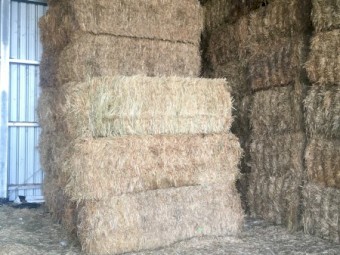 31mt Oaten Hay 610kg 8x4x3 Bales