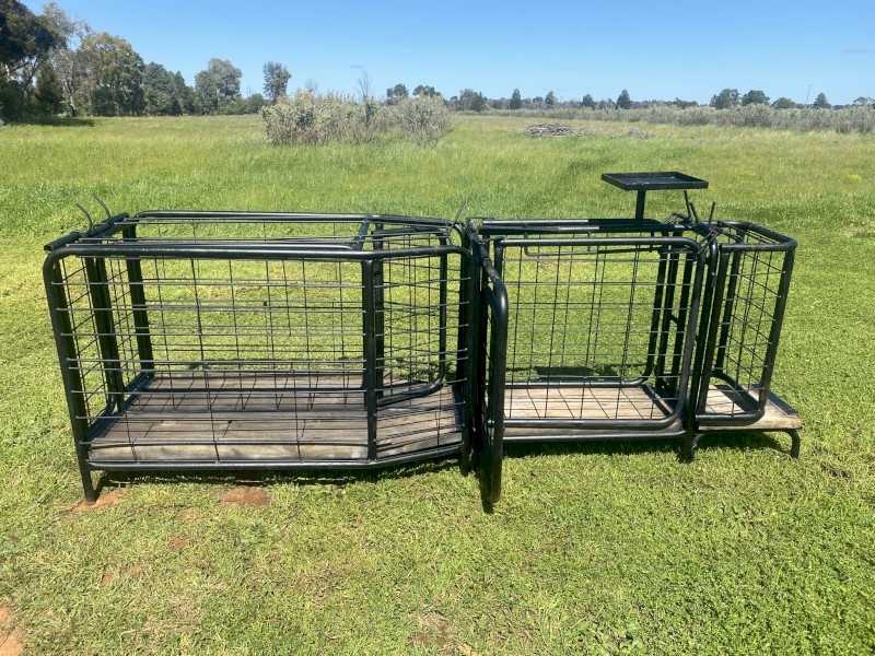 Goat Handler & Crush