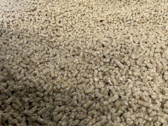16% layer pellets