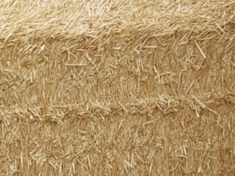 2400mt Windrowed Wheated  Straw 8x4x3 Bales