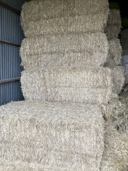 130mt Barley Straw 450kg 8x4x3 Bales