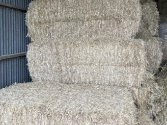 30mt Wheat Straw 450kg 8x4x3 Bales